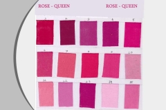 ROSE-QUEEN-color