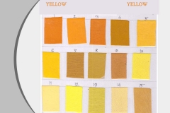 YELLOWcolortype